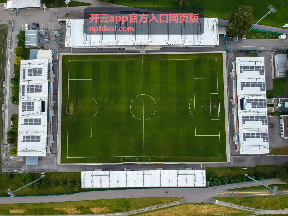 团队多人同时核对开云app官方入口网页版页面状态的场景