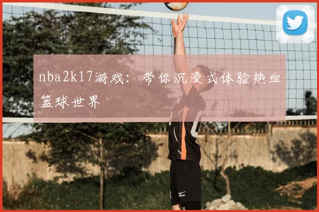 nba2k17游戏:带你沉浸式体验热血篮球世界