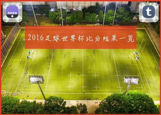 2016足球世界杯比分结果一览