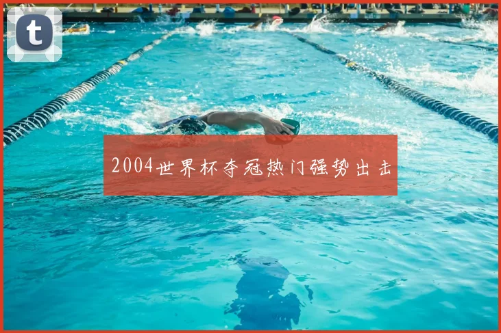 2004世界杯夺冠热门强势出击