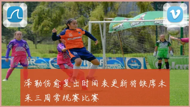 泽勒伤愈复出时间表更新将缺席未来三周常规赛比赛
