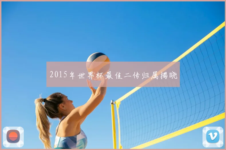 2015年世界杯最佳二传归属揭晓