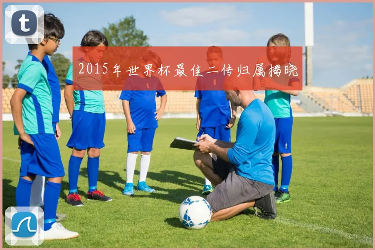 2015年世界杯最佳二传归属揭晓